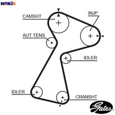TIMING BELT 5561XS FOR RENAULT