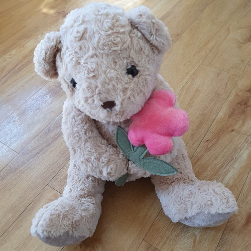 Sainsburys teddy bear holding - teddy,