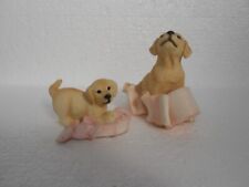 Leonardo ~ Playful Labrador Retriever Puppy & Parent with Toilet Roll