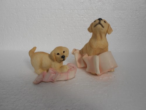 Leonardo playful labrador - ~,