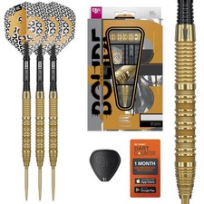 Target Darts Bolide Envy 01