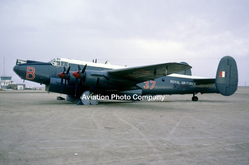 Raf squadron avro - 37,