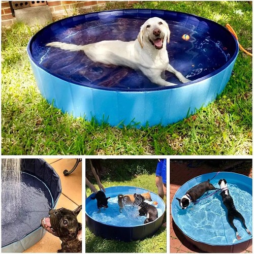 Large pet bath dog swimming - pet,