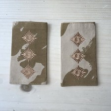 Pair of Official Desert DPM