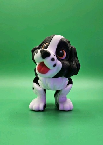 Cute puppy springer spaniel - cute,