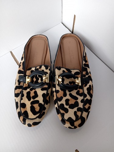 Next leopard forever - leopard,