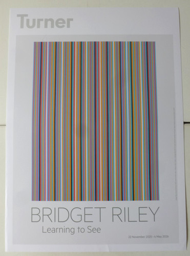 Bridget riley learning see - riley,