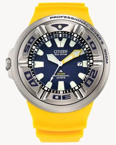 Citizen promaster blue dial - promaster,
