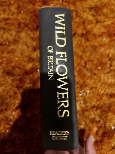 1981 1st edition readers - 1st,