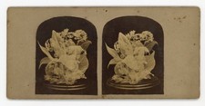 Victorian Stereoview 1800s Skeleton Leaf Still Life Arrangement