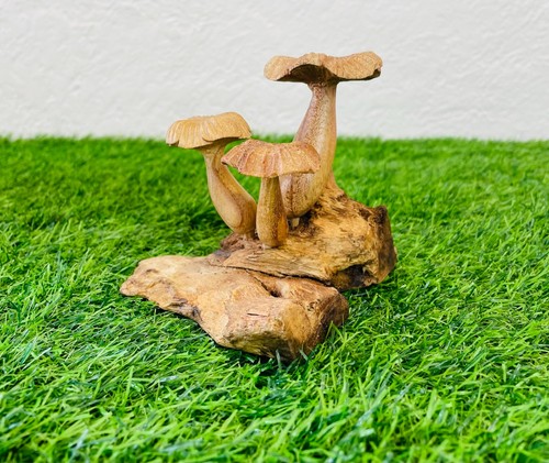 Hand carved wooden mushroom - hand-carved,