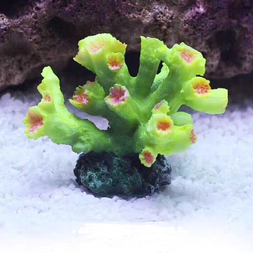 Artificial coral reef aquarium - coral,