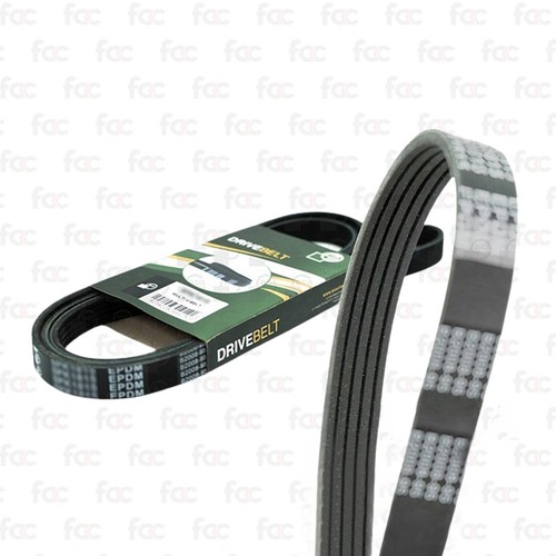 Alternator drive belt - drive, /