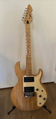 Vtg peavey electric - t-25,
