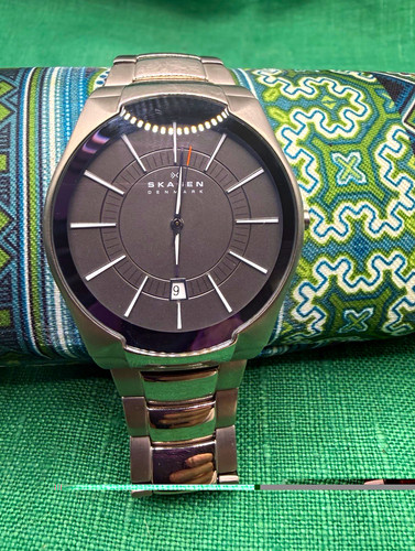Skagen skw6030 titanium quartz - skagen,