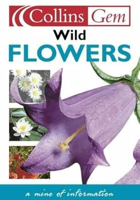 Wild flowers - flowers, (collins