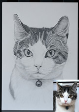 Custom Pet Portrait