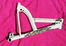 Rare Muddy Fox Rock N Roll