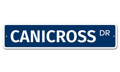 5526 canicross x 18 - ss,