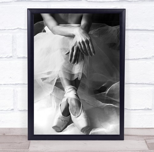 Performance ballet ballerina - ballet,