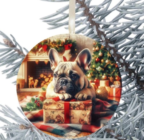 French bulldog dog - french,