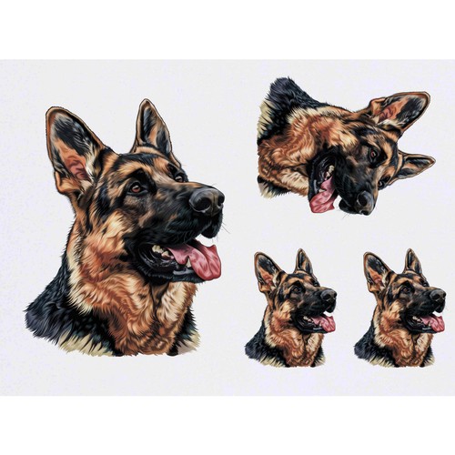 German shepherd - 4, shepherd'