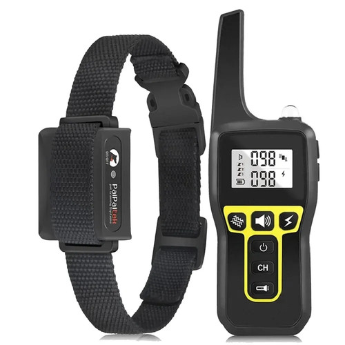 1000m dog shock training - 1000m,