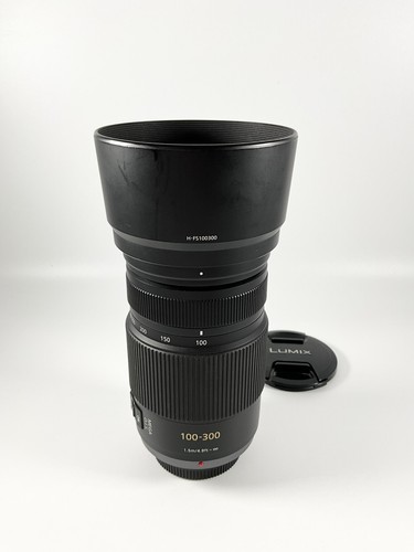Panasonic lumix vario - g,