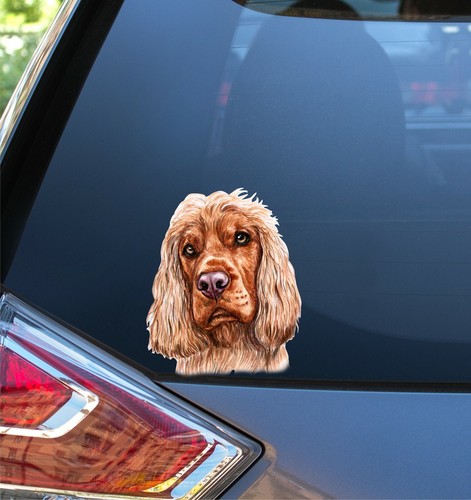 English cocker spaniel dog - english,