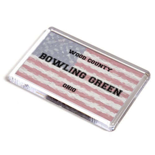Fridge magnet bowling green - fridge,