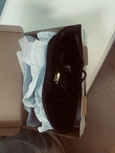Brand new with box - new,