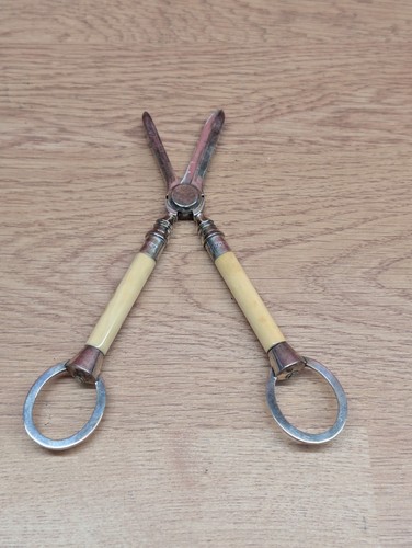 Antique epns grape scissors - antique,