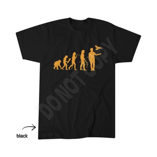 Stain hawk bird prey - stain,