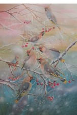 Kay Dawson watercolours  A2