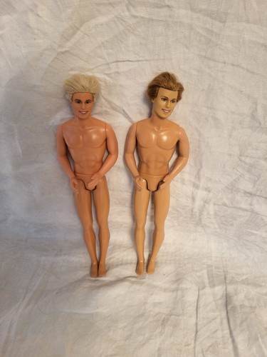 Barbie ken dolls - swan, lake