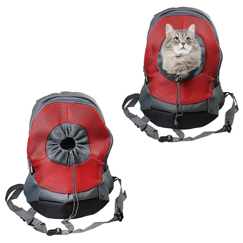 Pet dog cat - pet,