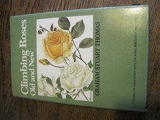 Climbing Roses Old&New by
