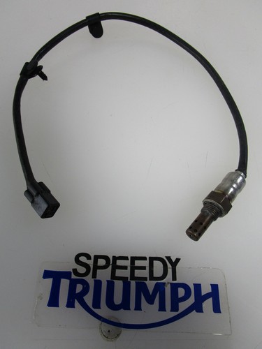 Triumph bonneville bobber - bonneville,