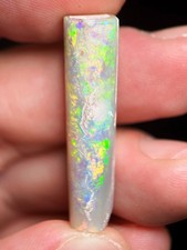 21.7ct Australia Belemnite
