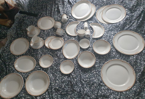 Dudson fine china dinner - 31,