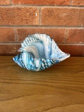 Hand Blown Seashell Conch