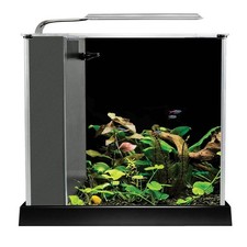 Fluval Spec Aquarium Fish Tank