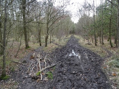 Photo 6x4 site - site, cramlington