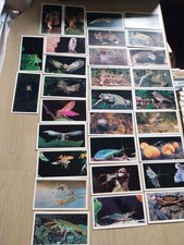 Grandee Cigar Cards Britain's