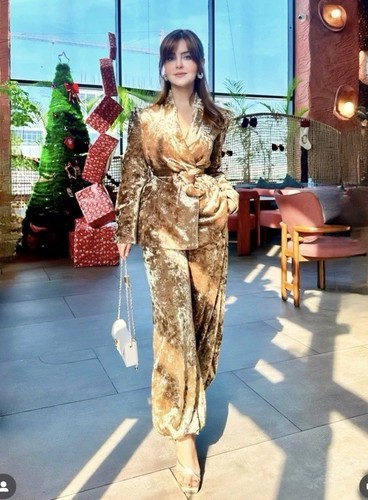 Zara velvet with metallic - velvet,