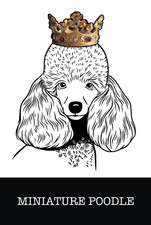 Miniature Poodle: Miniature