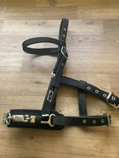  Synthetic Lunging Cavesson