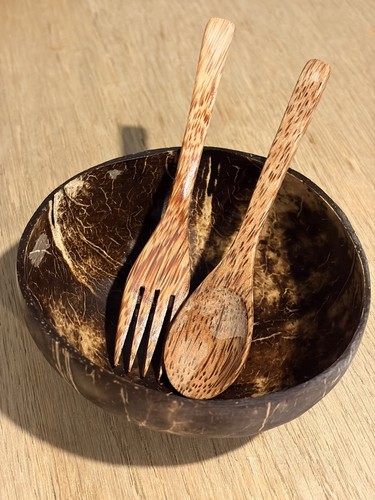Coconut shell bowl - shell,
