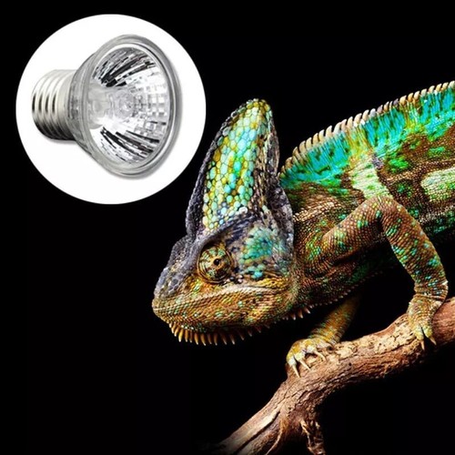 3pc reptile light - light, bulb
