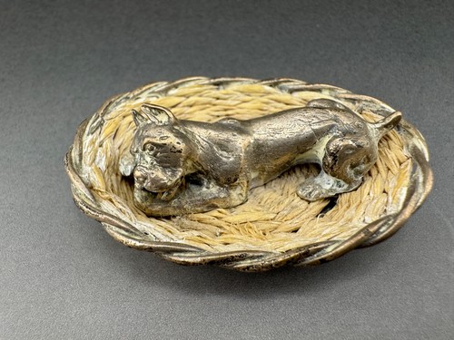 Dog chewing bone - dog,
